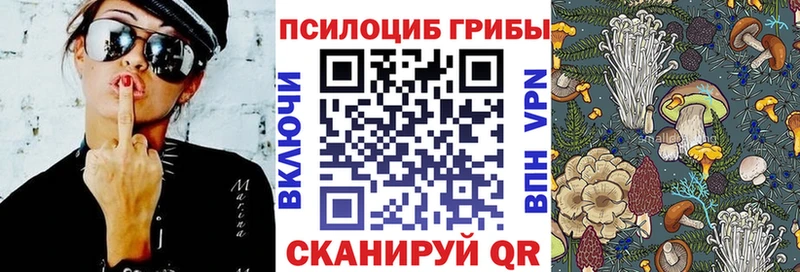 продажа наркотиков  Горячеводский  Псилоцибиновые грибы Cubensis 